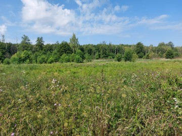 Lato z „Kwietną” na Nieborowskim Polu., 